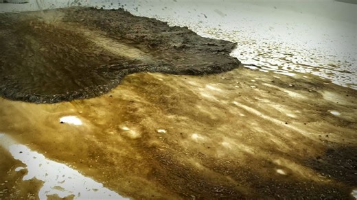 I can't believe this rug transformation! 😲