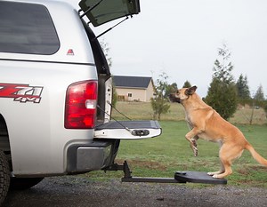 Twistep Pet Step for Pickup Trucks