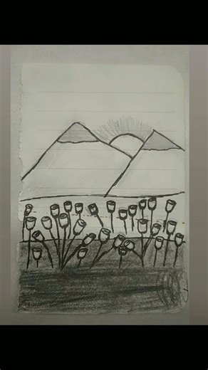 Easy sunset sketch #easysketch #easy #sunset #flowers #sketch #art #inspo