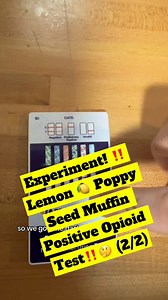 Experiment! ‼️Lemon 🍋 Poppy Seed Muffin Positive Opioid Test‼️🤔 (2/2) #doctor #pharmacist #pharmacy #lab #poppy #poppyseed #tea #test #experiment #science #muffin #snack #food #chemistry #biology #wild #fun | Dr. Kati Forbes, PharmD, RPh