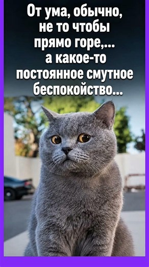 Без причины #юмор #мем #смех #приколы #смешновидео #анекдоты