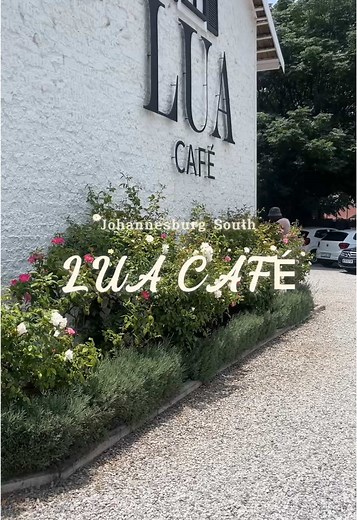 Discover LUA Café: A Perfect Spot for Remote Work