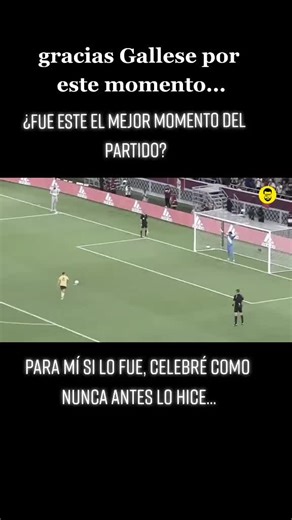 Highlights of the Peruvian National Soccer Team