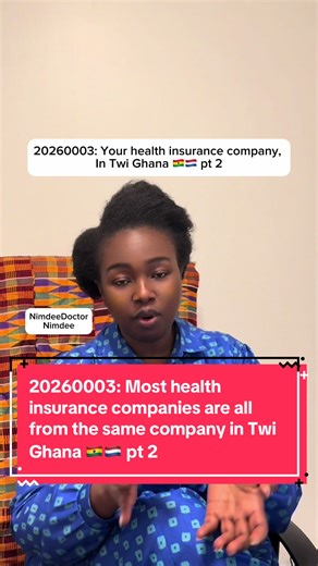 Understanding Health Insurance Companies in the Netherlands