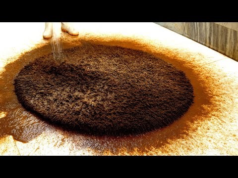 The Most Satisfying Deep Clean You've Ever Seen. ASMR RUG CLEANING Time lapse