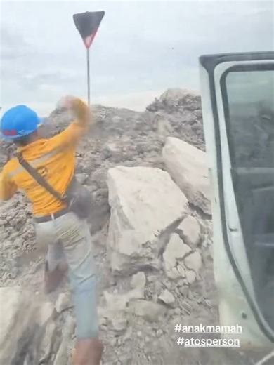 SARANG LEBAH ❗ #tawon #lebah #sarang #fyp #core