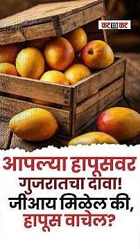 Konkan Hapus vs Valsad Hapus | GI Tag वादाला तुडुंब रंग!