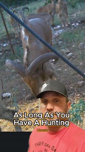 Aoudad in the United States