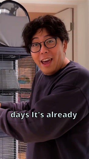 Ryan Has 2 NEW Chinchillas!