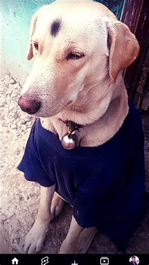 💓💓💓💓💓 #lifeisbutadream