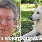 video-of-brit-croc-expert-adam-britton-on-discovery-channel-show-animal ...