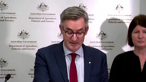 52 reactions | Around 16,000 sheep and cattle remained in limbo aboard an export ship at an Australian port, having set sail for Israel exactly four weeks ago only to abandon a passage through the Red Sea and be ordered home by the Australian government https://reut.rs/3HMoND7 | Reuters | Facebook