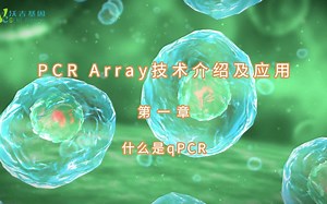 PCR Array技术介绍及应用 第一章：qPCR的概念