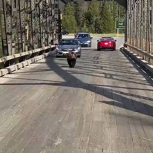 10K views · 145 reactions | NTV on Reels | Facebook