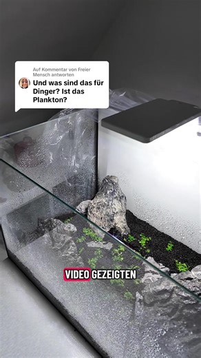 Antwort auf @Freier Mensch So mische in die Artemianauplien von @JBL GmbH & Co. KG an👌 #aquarium #artemia #aquascape #bettafish #aquariumfish