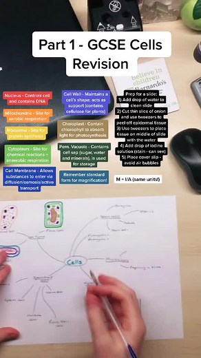 Cells - Part 1 #GCSE #biology #revision #school #study #revision #notes #mocks