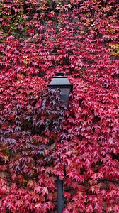 58K views · 66 reactions | QUE FAIRE POUR HALLOWEEN À PARIS? Dia...