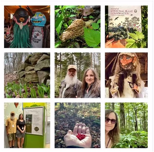 💫 Here’s to our Top 9 Photos of 2025! 1. Masquerades at Fasnacht showing off their handmade costumes. 2. A Spring delicacy (morel mushroom) spotted in the woods. 3. United Plant Savers’ annual Journal of Medicinal Plant Conservation arrives in the mail. 4. Ramps, another Soring delicacy, makes its appearance at the farm. 5. Ed and Carole, that’s us - shown front and center! 6. This year’s rendition of Old Man Winter on display during Fasnacht. 7. Ed and Carole standing beside a poster of their