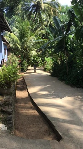 මහන්සිය හා කැපවීම: உழைப்பே உயர்வு