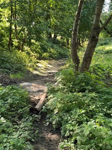 Spring Journaling: Embrace Nature's Beauty