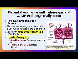 Understanding Placental Gas, Nutrient, and Waste Exchange; Fetal Circulation; & Patent Foramen Ovale