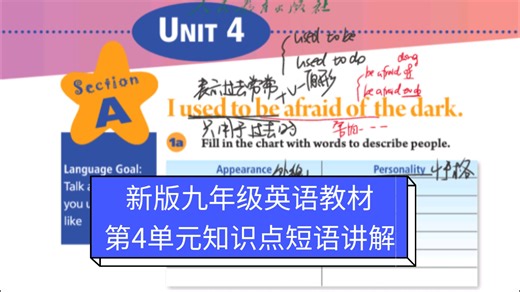 新版英语课本九年级第4单元详细讲解