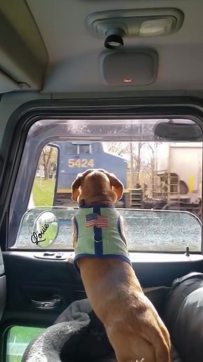 3.4K views · 301 reactions | Rolling up to crossing gates and...