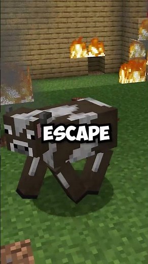 What If Minecraft Had Realistic Fire?