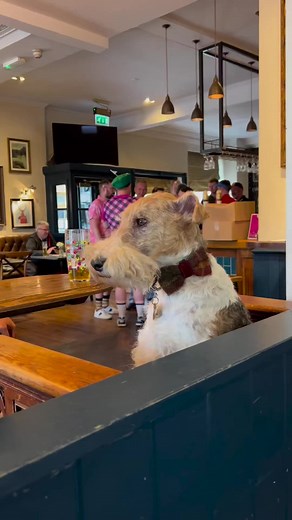 Friday = Pub day! 🍻 Cotswold pubs aren't just places to enjoy a drink; they're an integral part of the region's culture. What is your local pub called? 🎞️ milouthewft (IG) 📌 Save for your travels ➡️ Follow us for everything Cotswolds Come and see the Cotswolds this year and visit our website for help: www.visitthecotswolds.uk . . . #visitthecotswolds⁣⁣ #bath #pub #traditionalenglishpub #englishpub #cotswolds #bathcity #cotswoldslife #cotswoldlife | Visit The Cotswolds