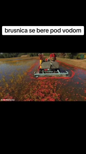 Exploring Agricultural Activities and Landscapes