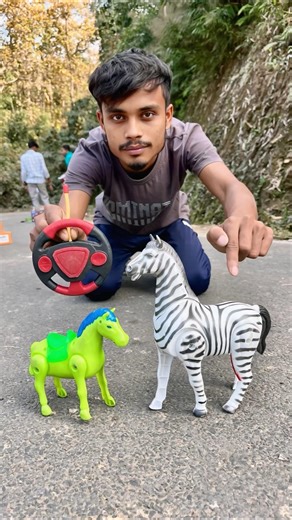 RC Remote wala Horse huru and RC Zebra 🦓 Unboxing 😊