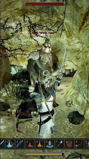 Secret cave with Ogre King - Gothic 3