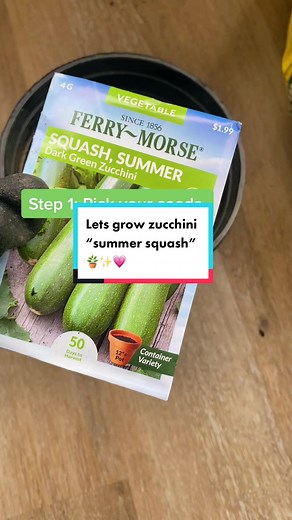 How to Grow Zucchini: A Step-by-Step Guide