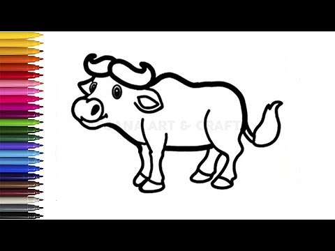 Buffalo Drawing, Painting, and Colouring For Kids and Toddlers - Buffalo Easy Drawing