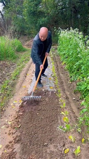 Thickened Integrated Agricultural Steel Rake Revolutionizes Farming
