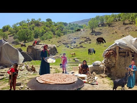 Nomadic life|Baking local bread by roaring Khersan River and giving birth to a baby goat by Zagros