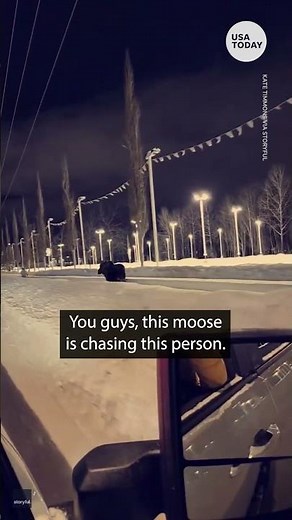 Moose attacks woman walking her dog in Alaska | USA TODAY #Shorts