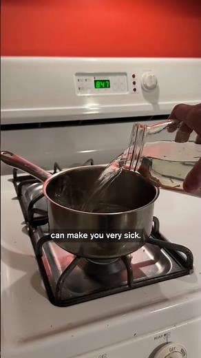 Is Boiled Pond Water Safe to Drink? Microscope Reveals All