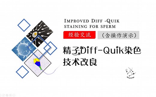 精子Diff-Quik染色技术改良