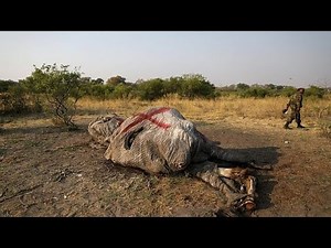 Botswana to step up anti-poaching measures