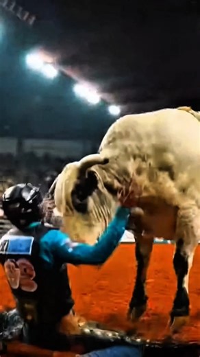 Top 5 Most Dangerous PBR Bulls Ever 🐂💥 | Fearless vs Furious
