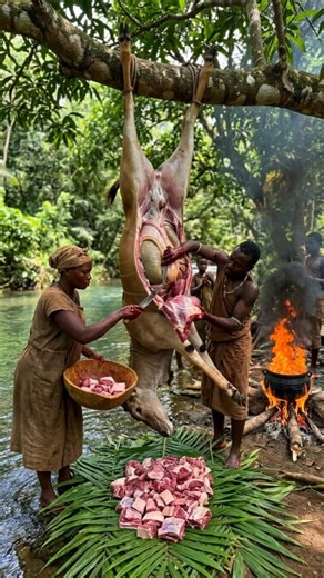 Primitive Forest Feast: Hanging & Cooking a WHOLE Antelope! 🥩 #tribalfood #tribalcooking #shorts