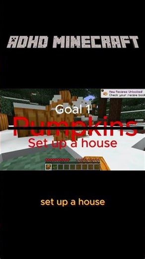 ADHD Minecraft Gameplay