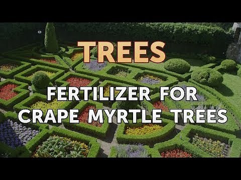Fertilizer for Crape Myrtle Trees