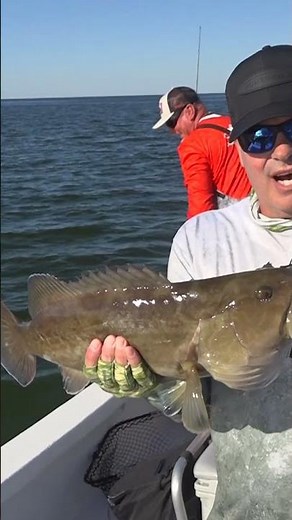 Florida's Nature Coast Has EVERYTHING 🌴🎣