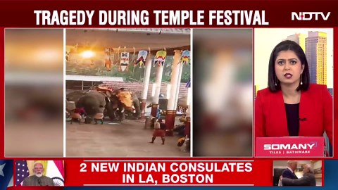 3 Elderly Die As Elephant Attack Sparks Stampede At Kerala Temple |
