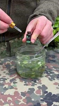 Make your own tick repellent! It’s that easy #bwonlineshop #tickrepellent #peppermintwater