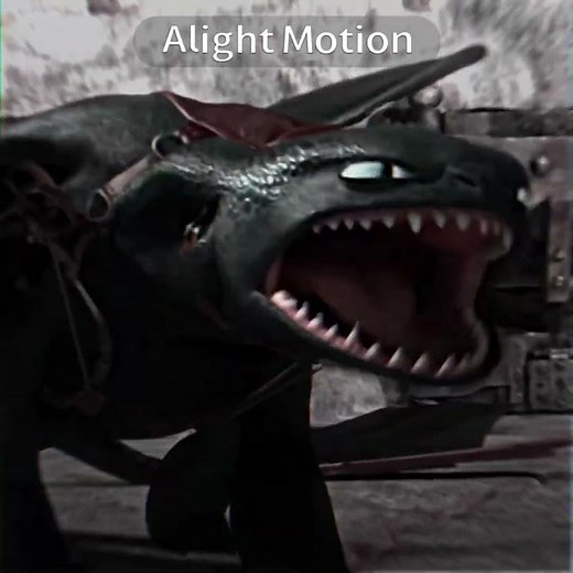 Toothless vs Hookfang