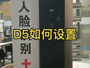 D5设置视频