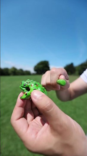 Lopburi Frog Guiro (Sound Demo)